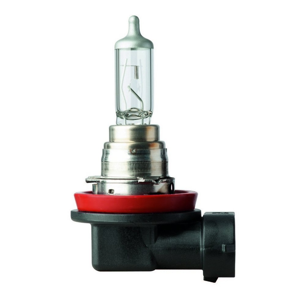 Flosser 191219 Bulb