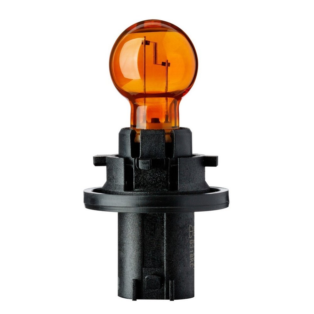 Flosser 38965433 Bulb