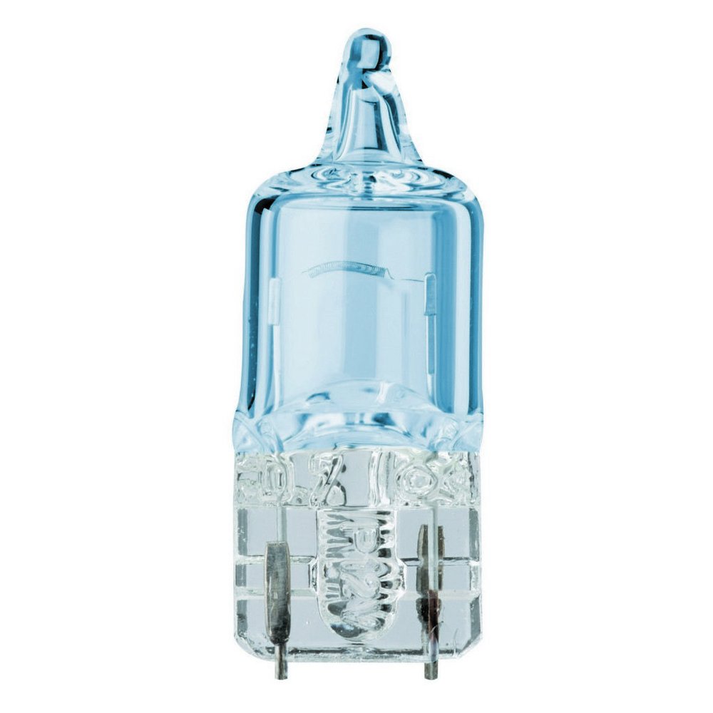 Flosser 489133 Park Light Bulb
