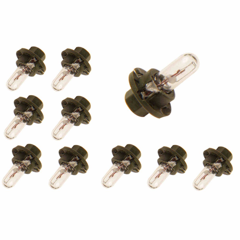 Jahn 1642 Bulb 10 Pack